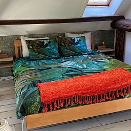 Guest house 180615 - Holiday property Noord Drenthe - DG2170
