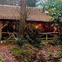 Charmant vakantiehuis Huisje in Norg, gelegen in het bosrijke Norg, Noord Drenthe, met sfeervolle verlichting.