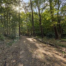 Entdecken Sie die ruhige, waldreiche Umgebung von Huisje in Norg, einem Ferienhaus in Norg, Nord-Drenthe, umgeben von schoener Natur.