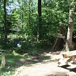 Geniessen Sie die ruhige, waldreiche Umgebung des Ferienhauses in Norg, Nord-Drenthe, mit einer rustikalen Terrasse und einem Picknicktisch.