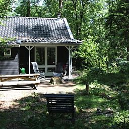 Ferienhaus in Norg, Nord-Drenthe, umgeben von ueppiger Natur, mit einer einladenden Terrasse fuer einen entspannten Aufenthalt.