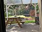 Guest house 180986 • Holiday property Noord Drenthe • Norger Uil  • 10 of 23