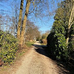 Unterkunft 181007 - Ferienhaus Noord Drenthe - Huisje in Midlaren