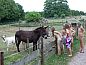 Guest house 182004 • Holiday property Noord Drenthe • Vakantiehuisje in Annen  • 13 of 26
