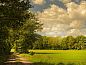 Guest house 182721 • Holiday property Noord Drenthe • Vakantiehuisje in Tynaarlo  • 7 of 18