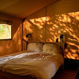 Unterkunft 182953 - Zelthaus Noord Drenthe - Safaritent + sanitair