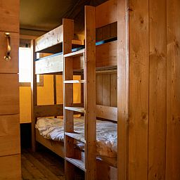 Unterkunft 182953 - Zelthaus Noord Drenthe - Safaritent + sanitair