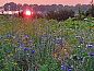 Guest house 183418 • Holiday property Noord Drenthe • Vakantiehuisje in Bronneger  • 3 of 26