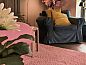 Guest house 183603 • Holiday property Noord Drenthe • Vakantiehuis in Roderwolde  • 6 of 26