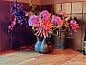 Guest house 183603 • Holiday property Noord Drenthe • Vakantiehuis in Roderwolde  • 13 of 26