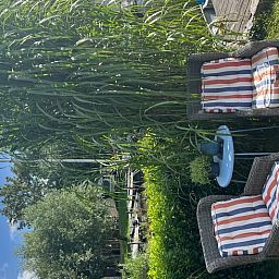 Gemuetliche Sitzecke im Garten des Huisje in Matsloot, Ferienhaus in Nord-Drenthe, umgeben von ueppiger Natur und Ruhe.