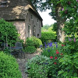 Vakantiehuis in Aalden, gezellige tuin met zitje bij vakantiehuis in Zuidoost Drenthe, Drenthe.