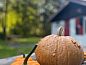 Guest house 190407 • Holiday property Zuidoost Drenthe • Vakantiehuis in Exloo  • 14 of 26