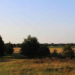 Entdecken Sie die natuerliche Umgebung des Ferienhauses DG280 in Exloo, Drenthe, mit einer im Herbstlaub versteckten Eule.