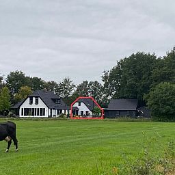 Rustic surroundings of Cottage in Dalen, vacation home in Drenthe with grazing cows in the meadow.