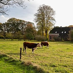Guest house 191605 - Holiday property Zuidoost Drenthe - Huisje in Valthe