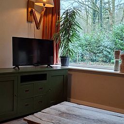 Gemuetliches Wohnzimmer des Ferienhauses in Schoonoord, Suedost-Drenthe, mit Blick auf die gruene Natur und moderner Einrichtung.