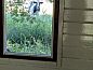 Guest house 192504 • Holiday property Zuidoost Drenthe • Huisje in Coevorden  • 7 of 14