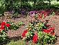 Guest house 192504 • Holiday property Zuidoost Drenthe • Huisje in Coevorden  • 12 of 14