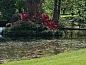 Guest house 192504 • Holiday property Zuidoost Drenthe • Huisje in Coevorden  • 13 of 14