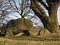 Guest house 192504 • Holiday property Zuidoost Drenthe • Huisje in Coevorden  • 14 of 14