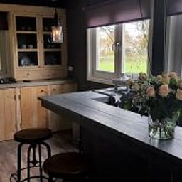 Unterkunft 193107 - Ferienhaus Zuidoost Drenthe - Vakantiehuisje in Erica