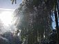 Guest house 193116 • Holiday property Zuidoost Drenthe • Vakantiehuis in Erica  • 13 of 19
