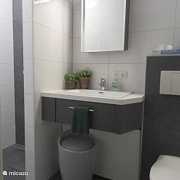 Guest house 193605 - Holiday property Zuidoost Drenthe - Teumige Tied