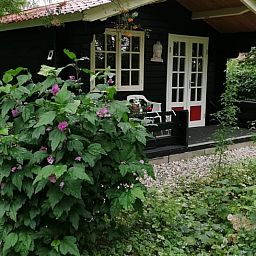Cozy porch of Holiday Home in 't Haantje, Drenthe, surrounded by flowering shrubs.