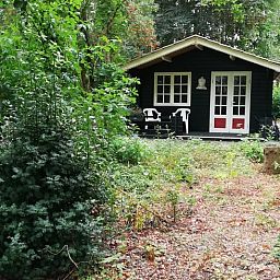 Vacation cottage in 't Haantje, Southeast Drenthe, hidden in nature with inviting terrace.