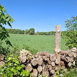 Verblijf 193702 - Vakantiewoning Zuidoost Drenthe - Vakantiehuisje in 't Haantje