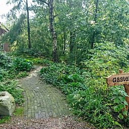 Ontdek het Vakantiehuisje in Odoornerveen, Drenthe, omgeven door weelderige natuur en een uitnodigend pad naar het gastenverblijf.