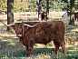 Guest house 200208 • Chalet Zuidwest Drenthe • Huisje in Doldersum  • 11 of 16