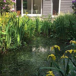 Vakantiehuisje in Doldersum, Zuidwest Drenthe met serene tuin en vijver, omgeven door weelderige natuur voor een rustgevende vakantie.