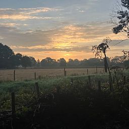 Geniet van de serene zonsopgang bij Vakantiehuisje in Doldersum, Zuidwest Drenthe, omgeven door weelderige natuur en rustgevende uitzichten.