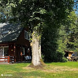 Unterkunft 200225 - Ferienhaus Zuidwest Drenthe - Koekoekshuis