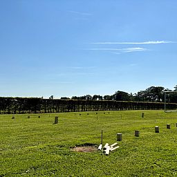 Guest house 200317 - Holiday property Zuidwest Drenthe - DG1707