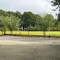 Geniessen Sie die Ruhe und die gruene Umgebung im Ferienhaus DG2052 in Diever, im Suedwesten von Drenthe, mit Blick auf die ueppige Natur und die Baeume.