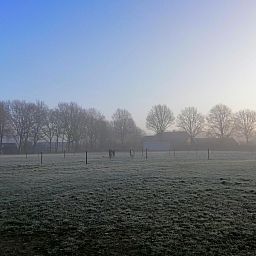 Ferienhaus DG2052 in Diever, Suedwest-Drenthe, mit einer gemuetlichen, umzaeunten Terrasse und Sitzgelegenheit in gruener Umgebung.