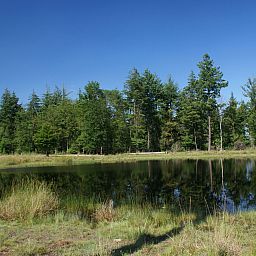 Verblijf 200429 - Vakantiewoning Zuidwest Drenthe - Vakantiehuis Geschmackvoll eingerichtetes Bauernhaus aus dem