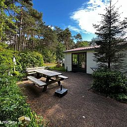 Verblijf 200456 - Chalet Zuidwest Drenthe - Boszicht