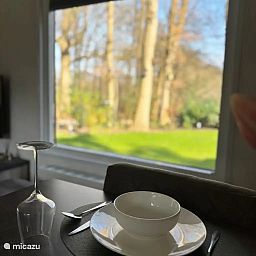 Verblijf 200458 - Chalet Zuidwest Drenthe - Boszicht  met optie  Wellness