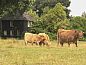 Guest house 200507 • Holiday property Zuidwest Drenthe • Welkom in het Reestdal  • 1 of 10