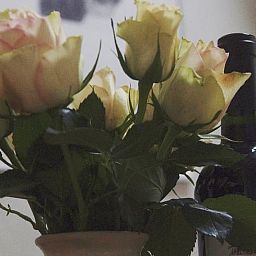 Decoratieve bloemen en wijn in Huisje in Zuidwolde, vakantiehuis in Drenthe.