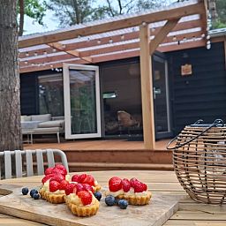 Unterkunft 200517 - Ferienhaus Zuidwest Drenthe - Vakantiehuis in Zuidwolde