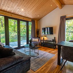 Guest house 2007115 - Holiday property Zuidwest Drenthe - Wellness Lodge Wood XL