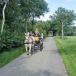Paard en wagen bij vakantiehuis DG095 in Ruinen, Zuidwest Drenthe, ideaal voor gezinsuitjes.