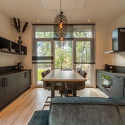 Verblijf 2007155 - Vakantiewoning Zuidwest Drenthe - Vakantiehuis De Wiltzangh - Bosrand Wellness Cabin Premium |