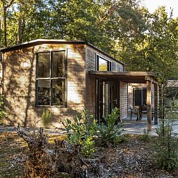 Guest house 200791 - Holiday property Zuidwest Drenthe - Vakantiehuis Vakantiepark De Wiltzangh - Tiny Borg 4p