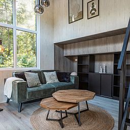 Guest house 200791 - Holiday property Zuidwest Drenthe - Vakantiehuis Vakantiepark De Wiltzangh - Tiny Borg 4p